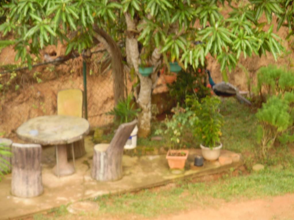 Mount View Villa Resort Mirissa Dış mekan fotoğraf