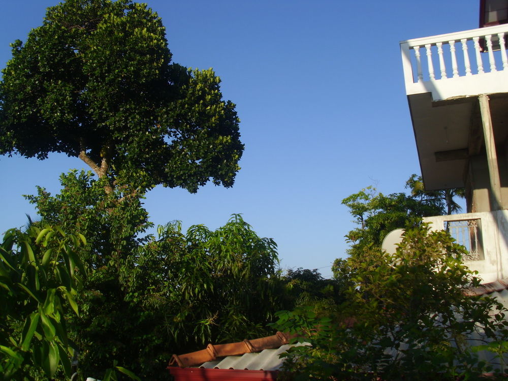 Mount View Villa Resort Mirissa Dış mekan fotoğraf